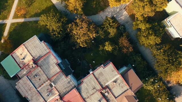 BOMBAKIS - POZITIVA (OFFICIAL VIDEO)