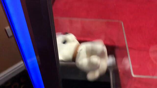 Claw Trek Episode #44 | Marvellous Mickey Mouse Win In Rhyl