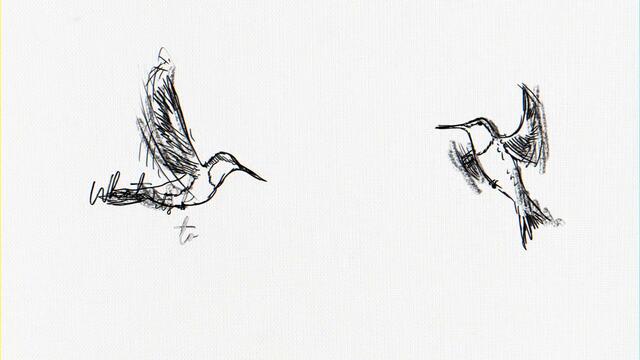 Shawn Mendes - Wonder (Lyric Video)