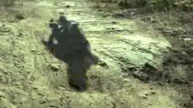 CraZy-Downhill