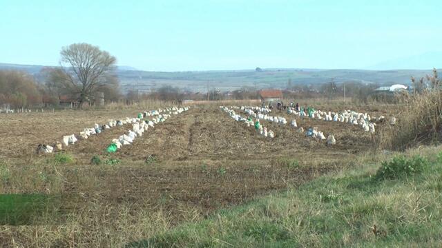 Централна емисия новини на АГРО ТВ - 09.11.2020 г.