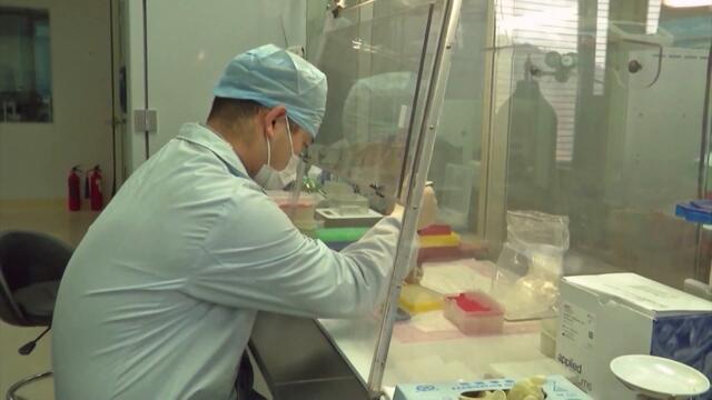 Премиерът Борисов: Изправяме целия потенциал на здравната система срещу коронавируса