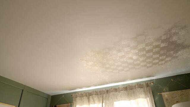 The Queen's Gambit: Accepted