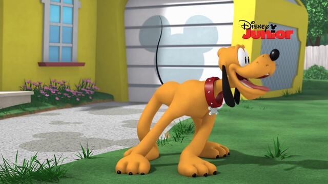 Mickey Mouse e Seu Amigo Pluto | Probleminhas com a Mangueira