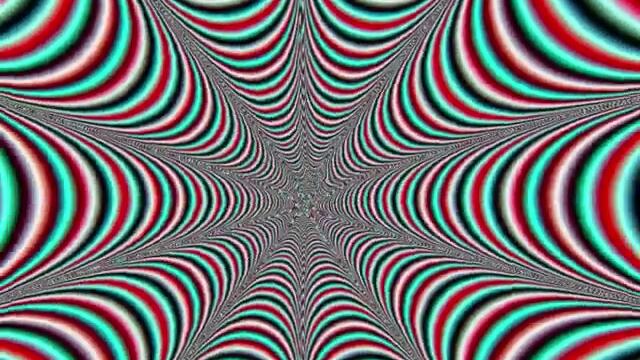 the United States of America-the garden of earthly delights