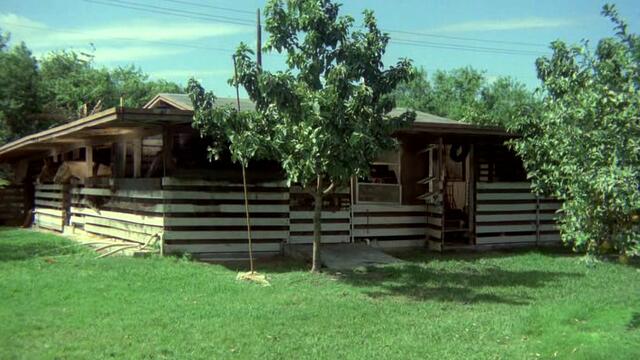 Който намери приятел, намира съкровище  Who Finds a Friend Finds a Treasure  (1981) Бг Аудио Част 1