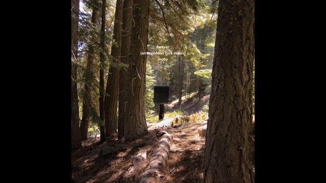 Moby - Forever (Armageddon Turk Remix) | Official Audio