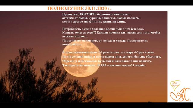 Полнолуние 30 ноября 2020 года для всех Знаков Зодиака!