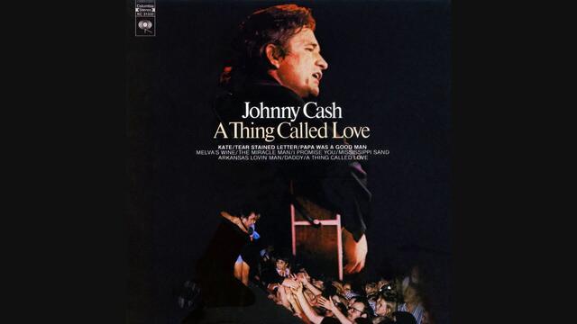 Johnny Cash - A Thing Called Love (Official Audio)