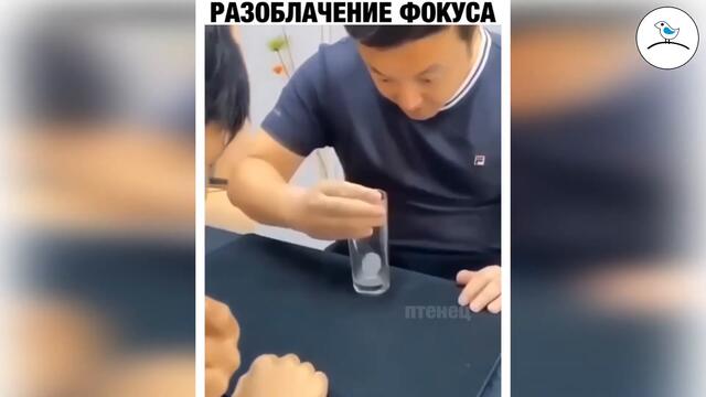 Прикольное видео #10 ноябрь 2020 птенец прикольные видео