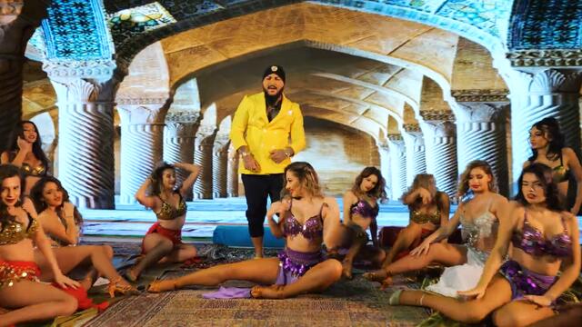 DANI MOCANU 🦁 STOP ROMÂNIA 🛑 Official Video