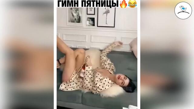 Прикольное видео #34 ноябрь 2020 птенец прикольные видео