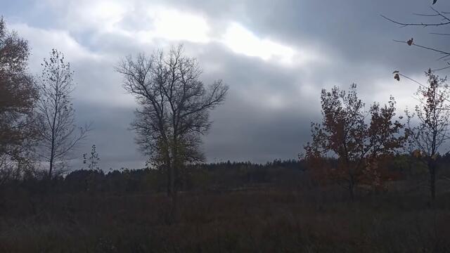 РАСТУЩАЯ ЛУНА с 16-29 ноября . ЧТО НЕЛЬЗЯ И ЧТО НУЖНО СДЕЛАТЬ...ВЛИЯНИЕ НА ЧЕЛОВЕКА..