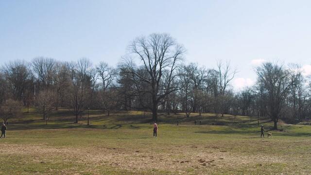 Fever Dolls - From Dusk to Dawn [OFFICIAL VIDEO]