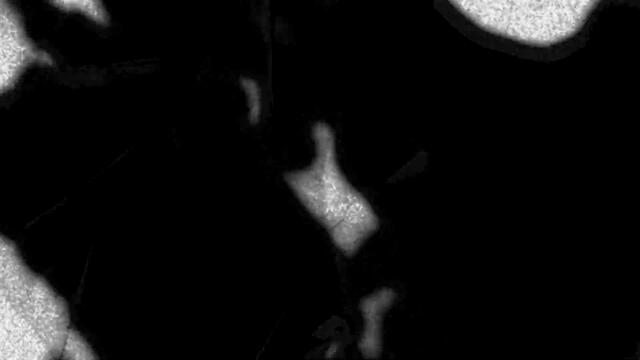 The Soft Moon  - Tiny Spiders (Official Video)