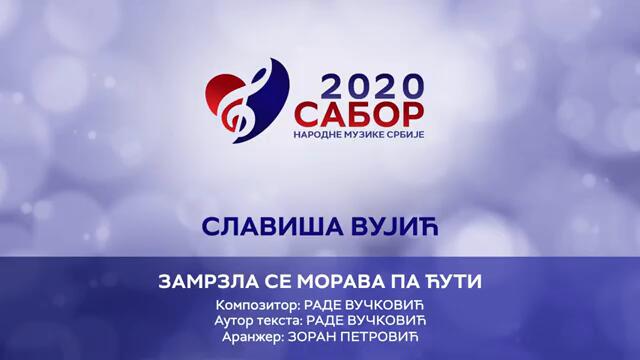 Slavisa Vujic - Zamrzla se Morava pa ćuti Sabor narodne muzike Srbije 2020
