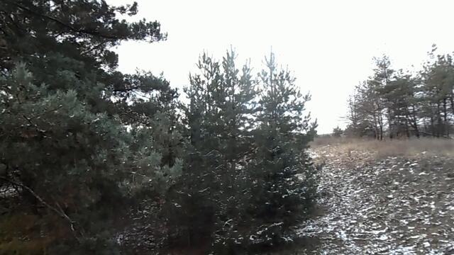 КОРИДОР ЗАТМЕНИЙ с 30 ноября - 14 декабря 2020. ВРЕМЯ ПЕРЕМЕН.. ЧТО НУЖНО ОБЯЗАТЕЛЬНО СДЕЛАТЬ..