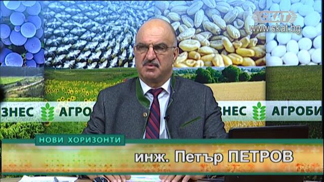 29.11.2020 1 част  Администрацията и горите си приличат