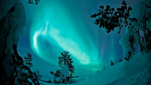 Lustre - Nestle Within