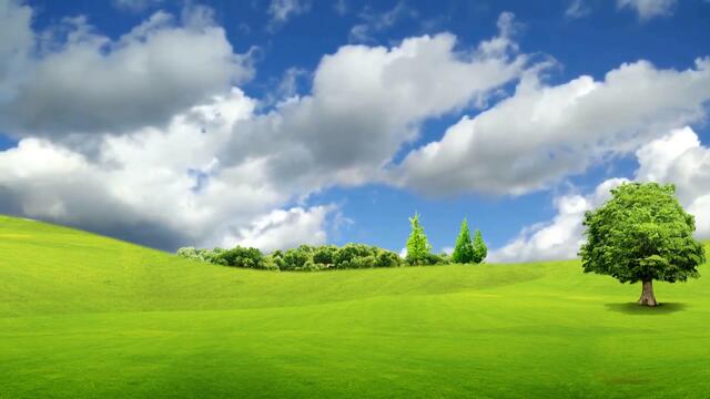 Amazing Nature Background Video, Nature Landscape