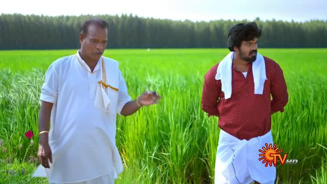 Vanathai Pola - Ep 24 | 2 Jan 2021 | Sun TV Serial | Tamil Serial