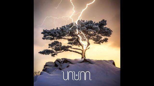 UNUM - Maedre