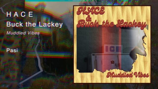 H A C E & Buck the Lackey - Muddled Vibes | Forest Kids Collective