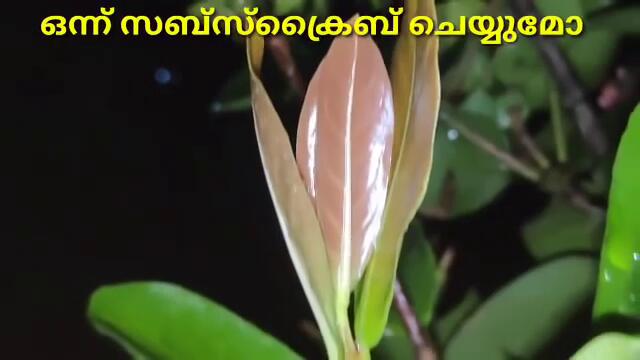 santhwanam serial | 13/01/2021 | santhwanam serial latest episode | santhwanam