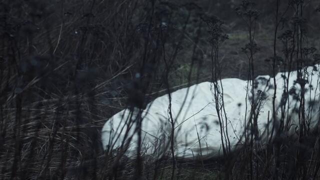 Tribulation - Funeral Pyre (OFFICIAL VIDEO)