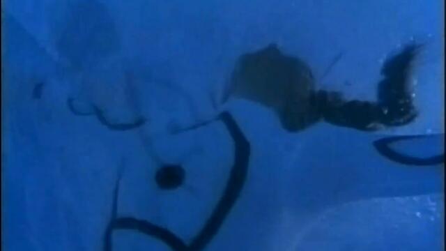 PM Dawn - Set A Drift On Memory Bliss 1991
