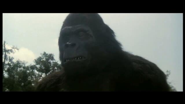 A actual scene from King Kong Lives (1986)