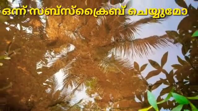 padatha painkili serial | 19/01/2021 | padathapainkili serial latest episode | padathapainkili