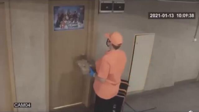 Monkey Paying for Pizza Delivery