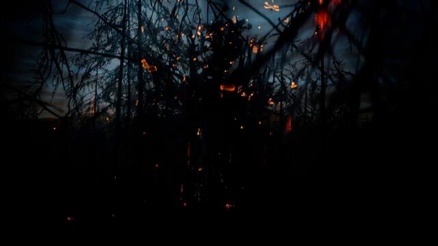 A DARK HALO - Flame Betide (Official Music Video)