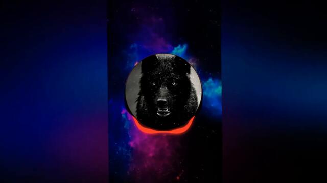 ❌⚠️Black Wolf Bg Muzica cu Bass (Remix tiktok) 2021❤🤘🤟