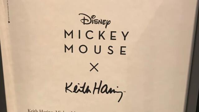 COACH Spring 2021 Shopping Vlog I Pillow Tabby and Disney Mickey Mouse x Keith Haring  Collections
