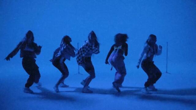 Chris Brown - Diva (Official Video) ft. Drake & French Montana