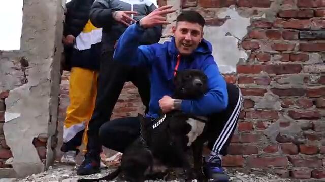 GOCATA - ПИТБУЛ (official video)