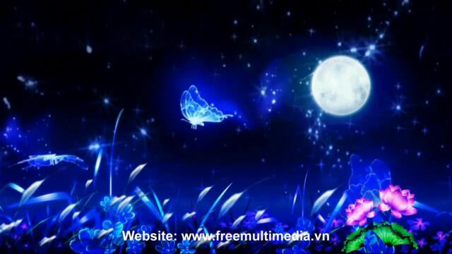 Ние сме еднакви ~ My Ty She ♛ Moon Night with Butterfly