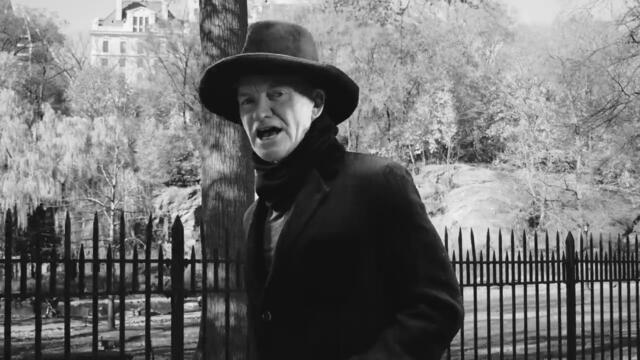 Sting x Shirazee - Englishman  African In New York