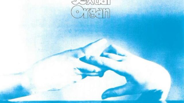 Clotted Symmetric Sexual Organ - Track 12 - The Song Without Race & A Trigonometrical Of Mokuba