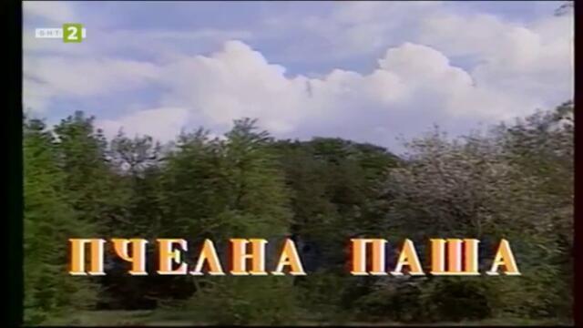 Насаме с пчелите - седма серия - Пчелна паша (2001) TV Rip БНТ 2 16.05.2021