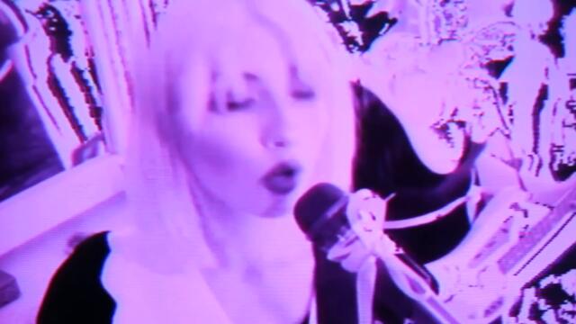 Margaritas Podridas - Púrpura