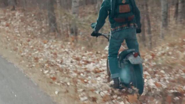 pondhopper - sapling