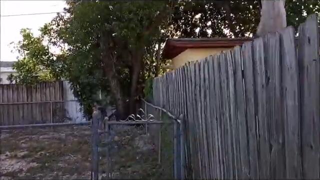 HOLIDAY Florida house for sale with 3br, 1bath ready to move in with 30%down can be yours tomorrow..