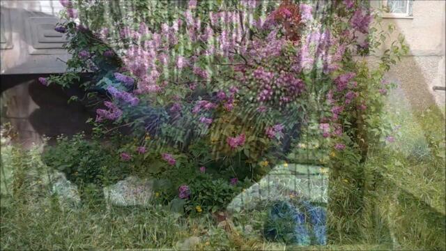 Ярослав Евдокимов 🐓 КУРОЧКА В ЛЕСУ ЗАБЛУДИЛАСЬ @Vinnitsa