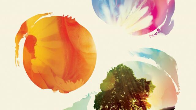 Sunrise Projector - Nautilis Remix