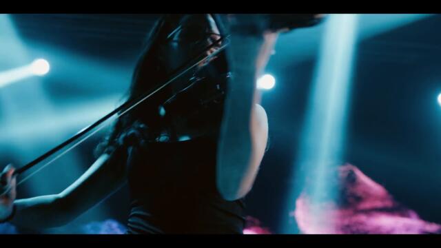 Adi Šoše - Šteta, zar ne?  (Official video)