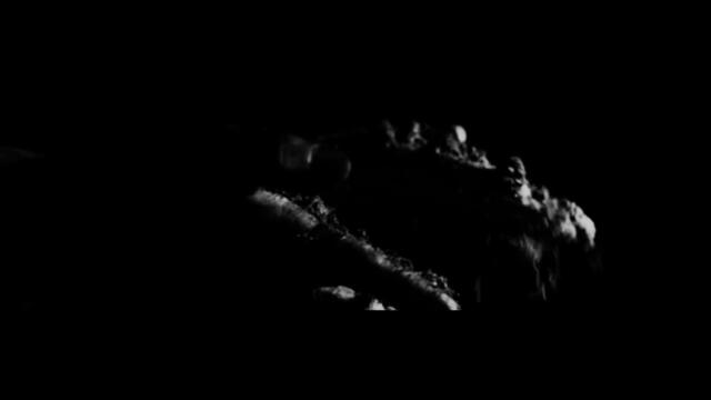 GOD IS AN ASTRONAUT - Barren Trees (Official Video) | Napalm Records