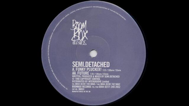 Semi Detached – Future